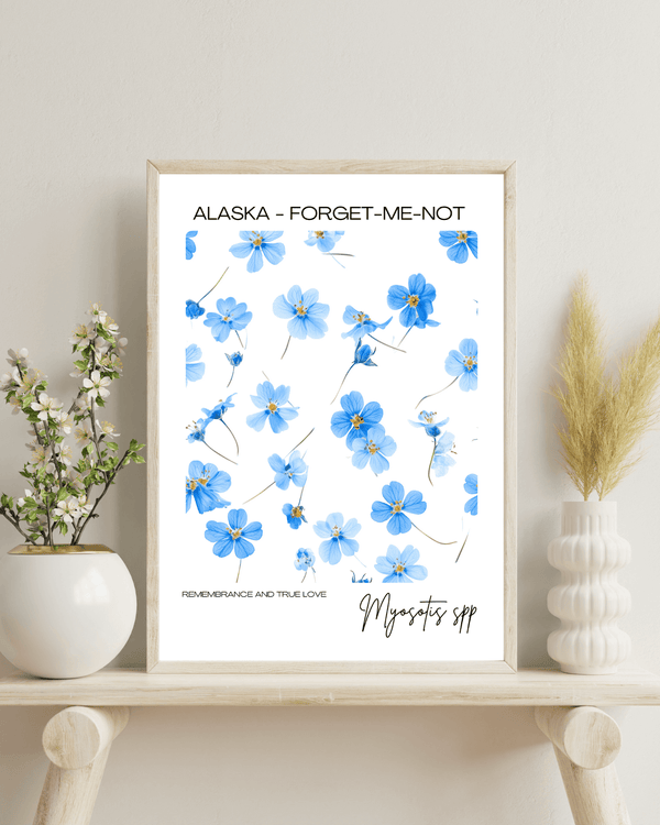 Alaska - Forget Me Not Name State Flowers Wallart - Charming Floral Decor