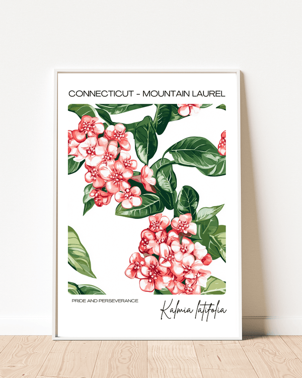 Connecticut - Mountain Laurel Name State Flowers Wallart - Beautiful Floral Decor