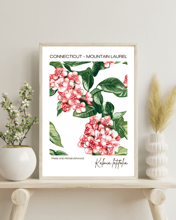 Connecticut - Mountain Laurel Name State Flowers Wallart - Beautiful Floral Decor