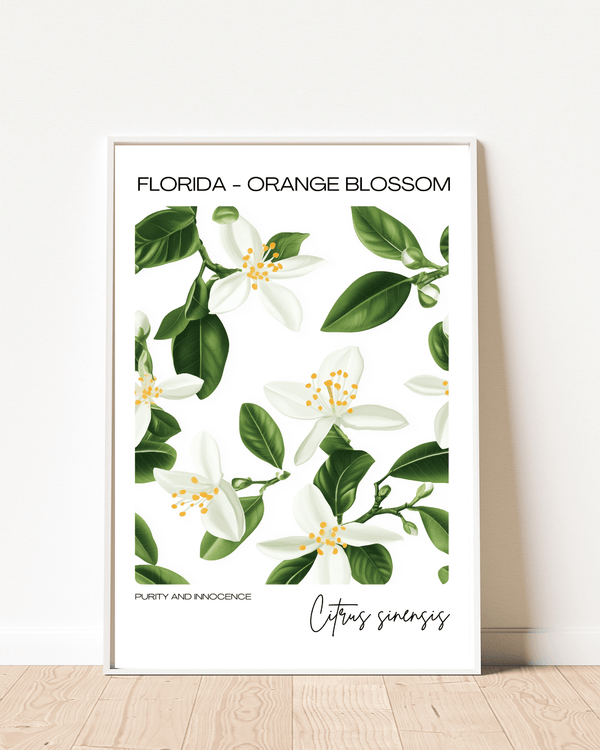 Florida - Orange Blossom Name State Flowers Wallart - Fresh Citrus Floral Decor