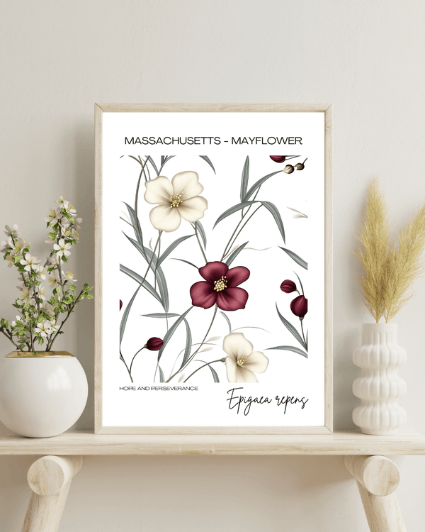 Massachusetts - Mayflower Name State Flowers Wallart - Elegant Floral Tribute