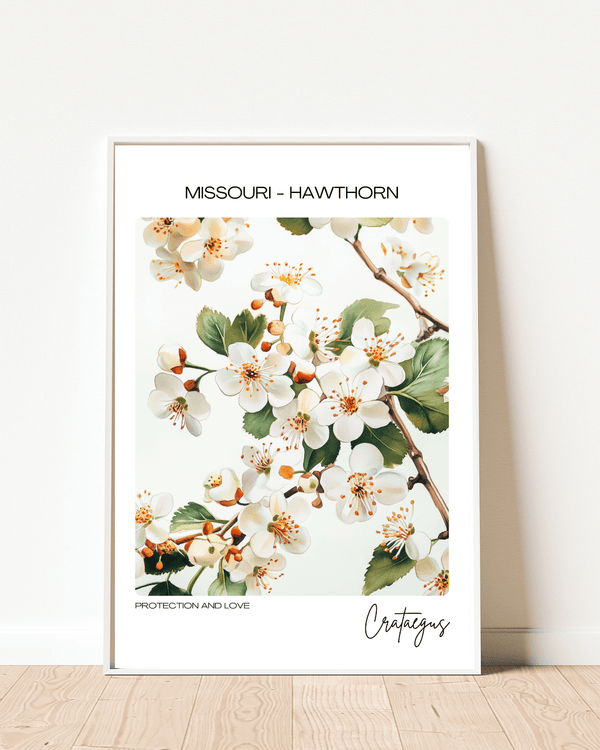 Missouri - Hawthorn Name State Flowers Wallart - Delightful Floral Accent