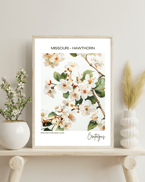 Missouri - Hawthorn Name State Flowers Wallart - Delightful Floral Accent