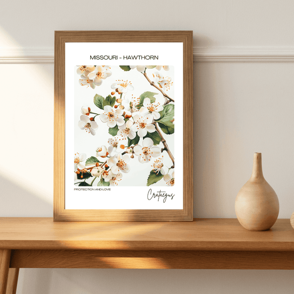 Missouri - Hawthorn Name State Flowers Wallart - Delightful Floral Accent