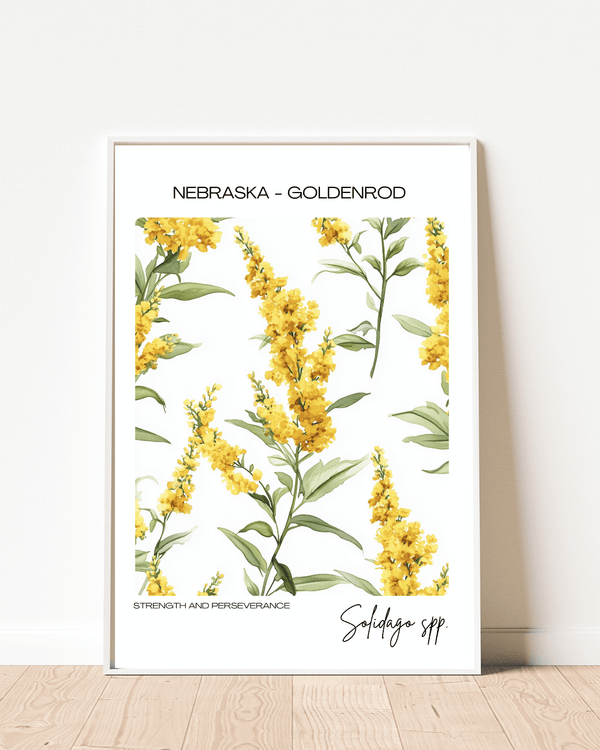 Nebraska - Goldenrod Name State Flowers Wallart - Bright and Cheerful Design