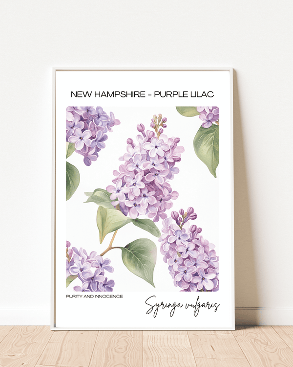 New Hampshire - Purple Lilac Name State Flowers Wallart - Elegant Floral Delight