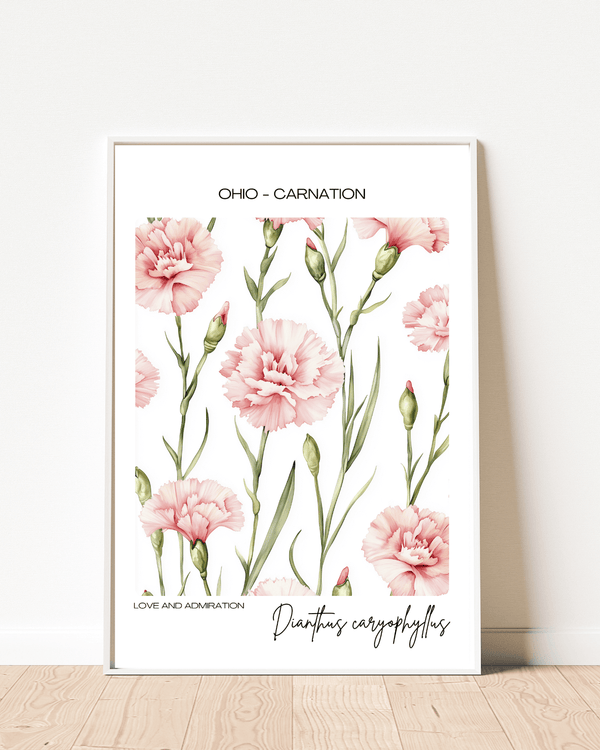 Ohio - Carnation Name State Flowers Wallart - Vibrant Elegance