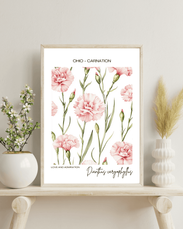 Ohio - Carnation Name State Flowers Wallart - Vibrant Elegance