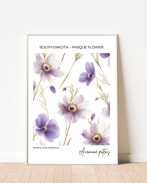 South Dakota - Pasque Flower Name State Flowers Wallart - Natural Splendor