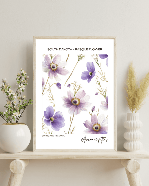 South Dakota - Pasque Flower Name State Flowers Wallart - Natural Splendor