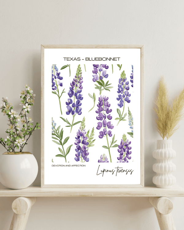 Texas - Bluebonnet Name State Flowers Wallart - Elegant Floral Decor